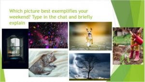 a green and white powerpoint slide with six images: a window overlooking trees in a dark room, purple confetti and hands, a grey kitten snuggling in a white bed, a tan and white dog running towards the camera, a tree against a stormy sky, and a white child holding a red watering can over a plant. The powerpoint slide reads “which picture best exemplifies your weekend? Type in the chat and briefly explain.”