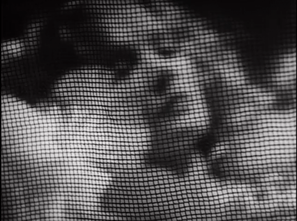 Marlene Dietrich behind a black net