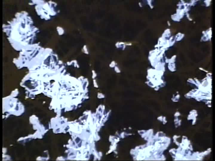 Still image from What the Water Said, Nos. 4-6