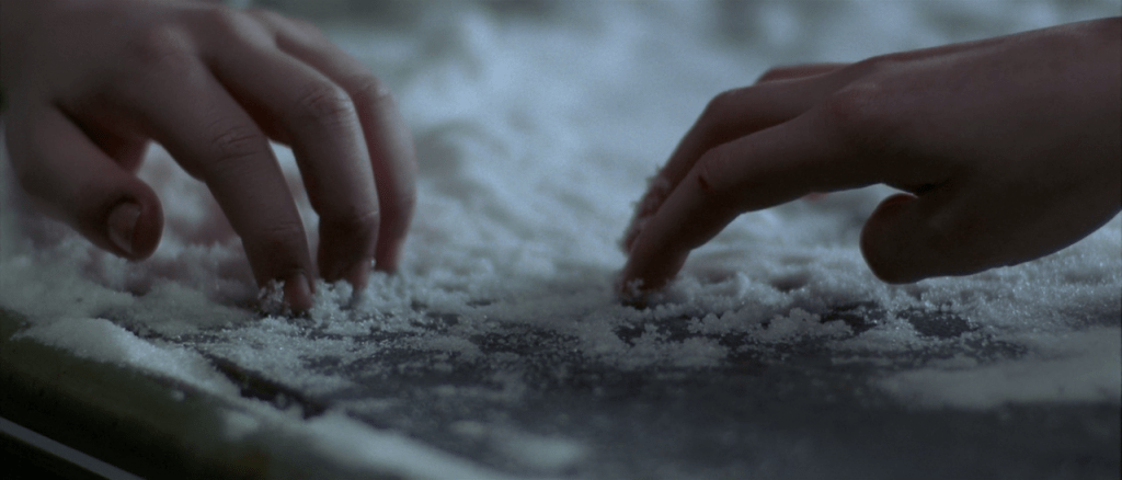 Two hands in the snow