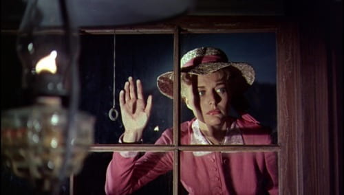 Constance Towers, framed by a widow pane during an early flashback.