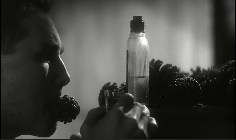 screenshot from Institute Benjamenta. Jakob has a pinecone in his mouth and a shot of liquor in his hand.