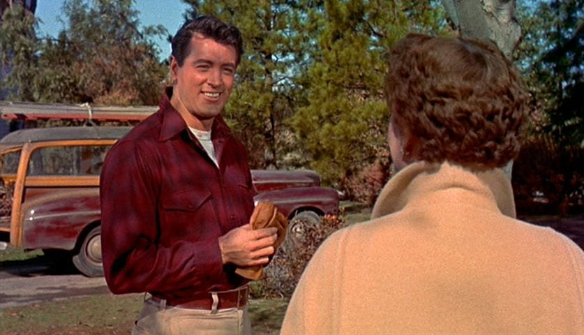Rock Hudson in All That Heaven Allows