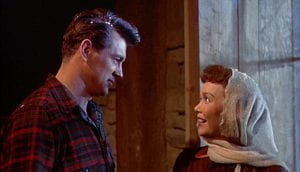 Rock Hudson and Jane Wyman in All That Heaven Allows
