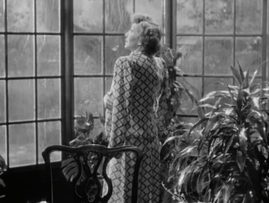 Sirk’s preference for windows as framing devices and emotional barometers holds true for Sleep, My Love.