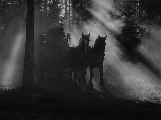 A horsedrawn carriage goes through shadowy woods