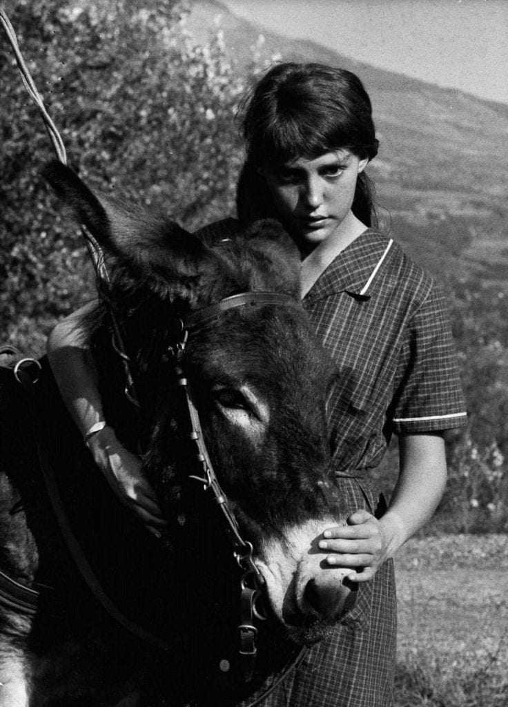 A girl with her arms around a donkey