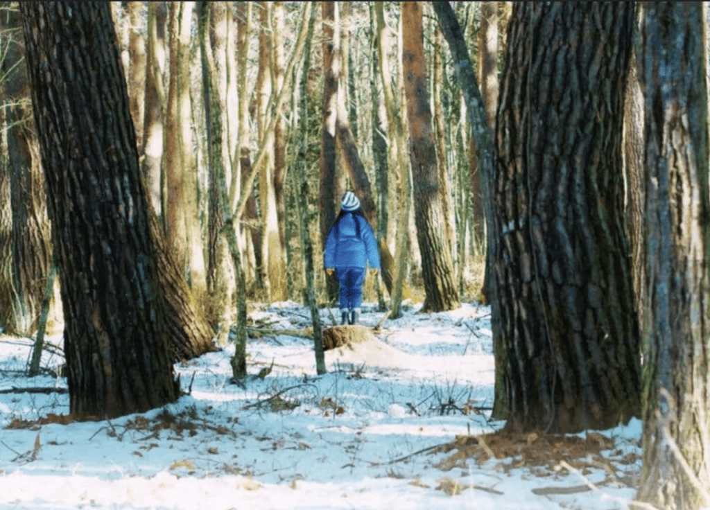 A little girl walks in the snowy woods
