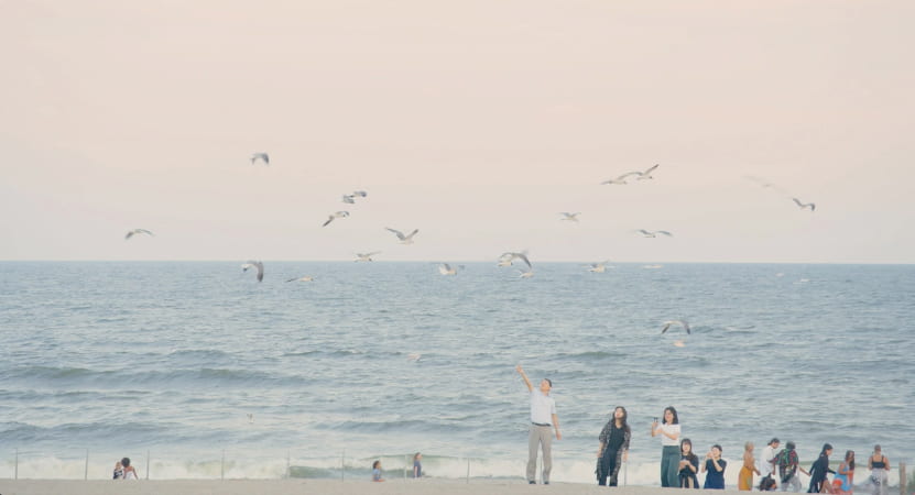 A group of people on a beach feed the birds flying above them