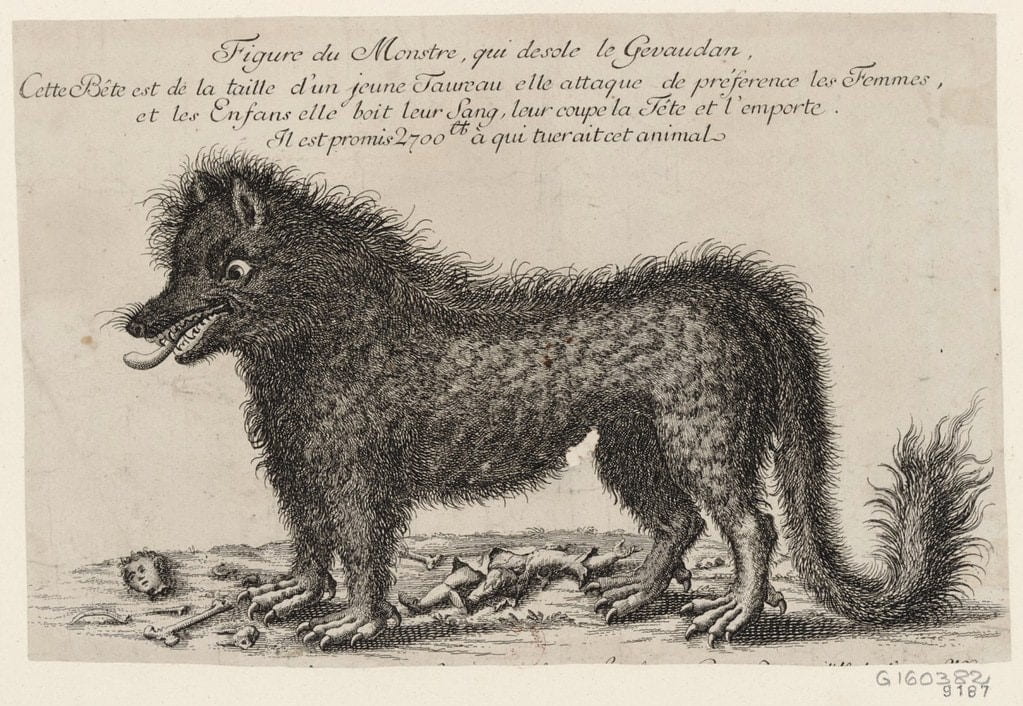 A wolf image of the The Beast of Gévaudan