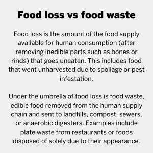 A header reads: Food loss vs food waste. Body text reads: Food loss is the amount of the food supply available for human consumption (after removing inedible parts such as bones or rinds) that goes uneaten. This includes food that went unharvested due to spoilage or pest infestation. Under the umbrella of food loss is food waste, edible food removed from the human supply chain and sent to landfills, compost, sewers, or anaerobic digesters. Examples include plate waste from restaurants or foods disposed of solely due to their appearance.