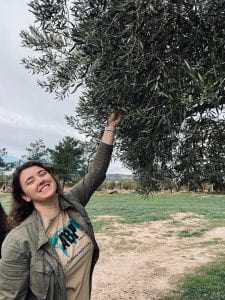 Smiling woman reaches up to pick an olive from a tree.