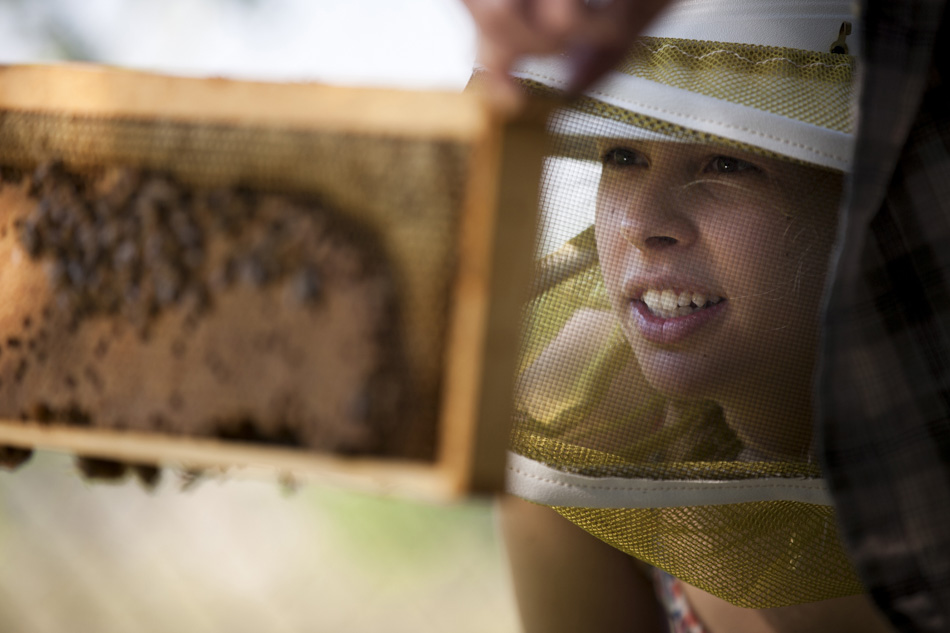 Ellie Symes, CEO of The Bee Corp., wears a beekeeper's hat and mask as she inspects a beehive's frame.