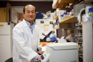 Cheng Kao, a professor in the IU Bloomington College of Arts and Sciences' Department of Molecular and Cellular Biochemistry, works on equipment in his IU laboratory.