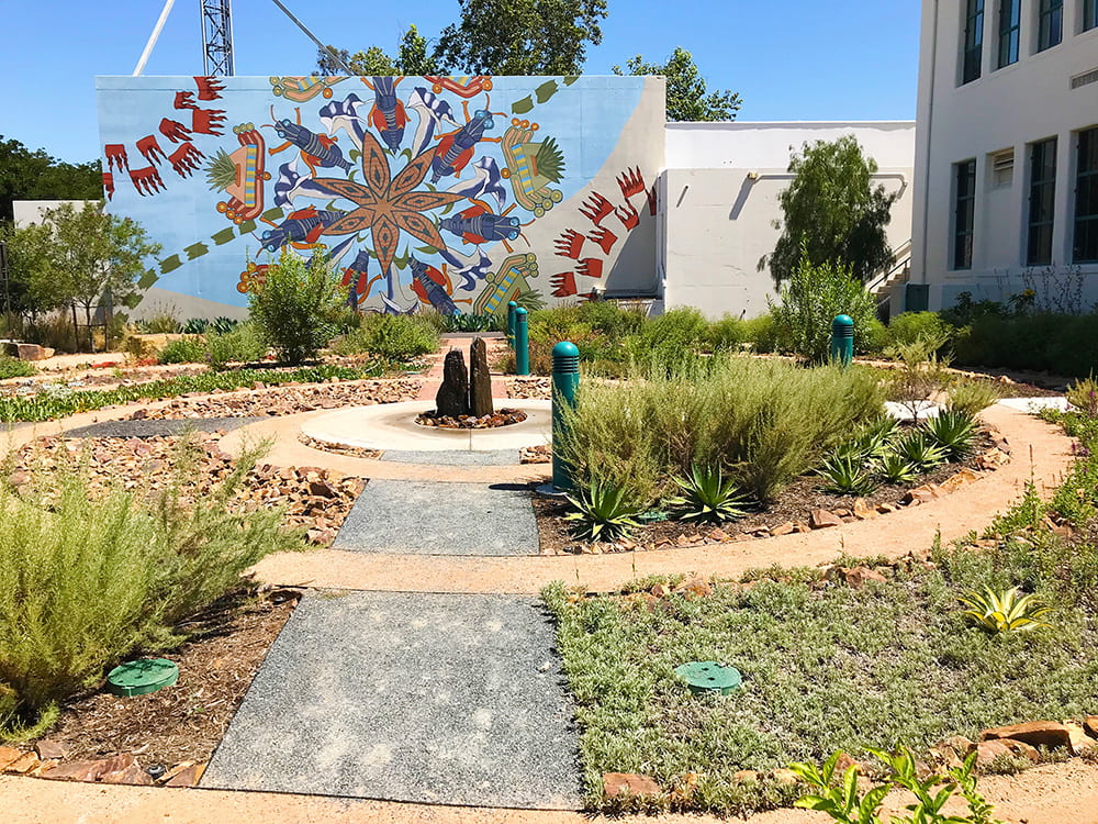 Image is of a garden of native plants arranged in concentric circles. A wall in the background contains a mural.