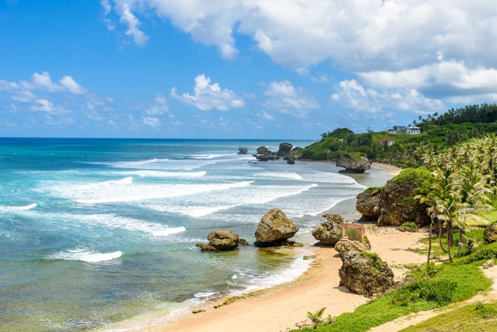image of sandy beach on coast of Barbados
