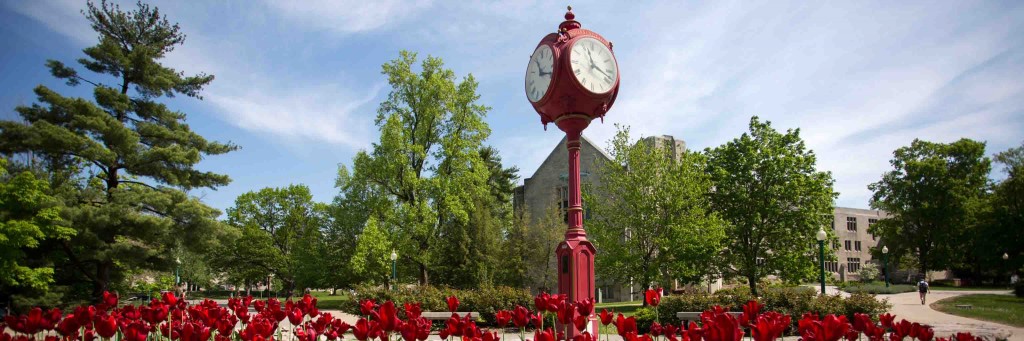 One of IU's red clocks, surrounded by red flowers. The picture was taken on campus.