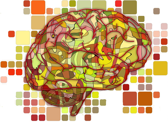 An illustration of the brain surrounded by a pattern of multicolored squares