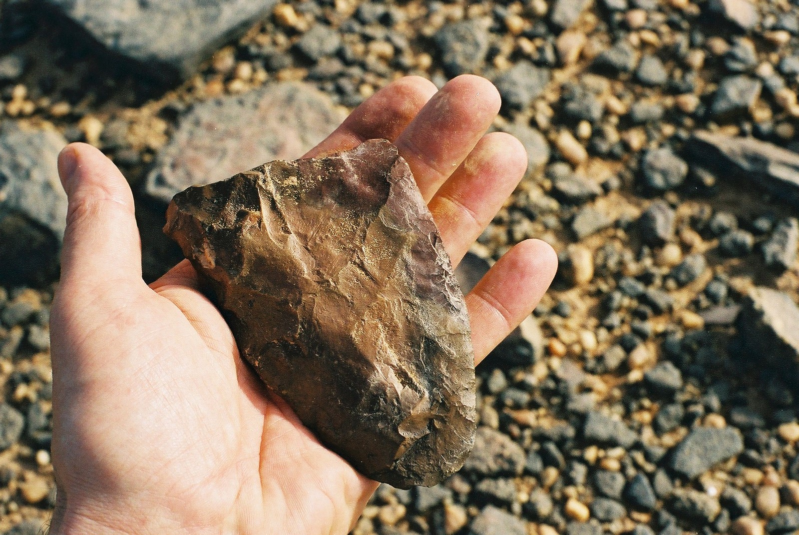 A hand holding a triangular stone tool, which was made millions of years ago.