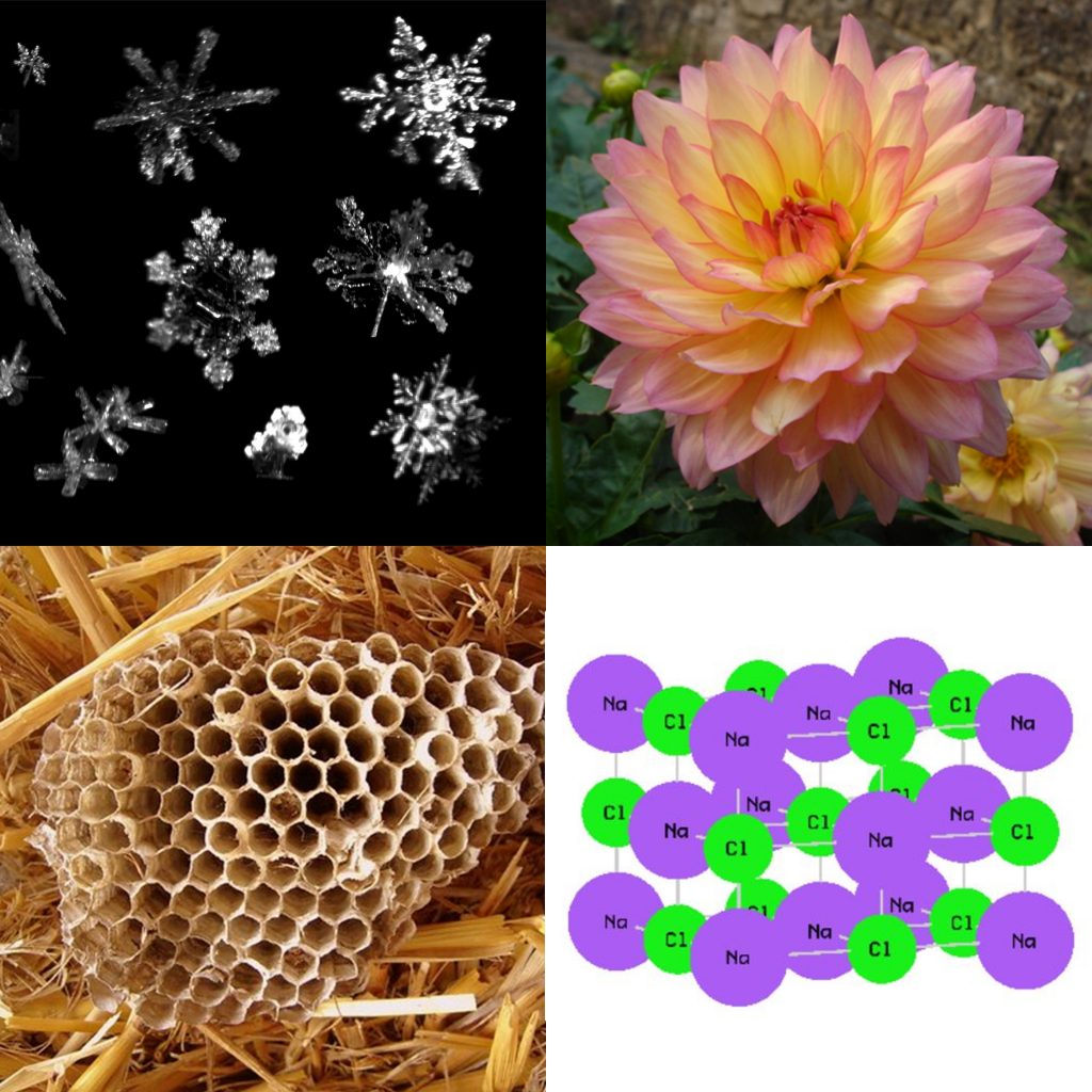 Pictures of snowflakes, a flower, a beehive, and table salt are shown.