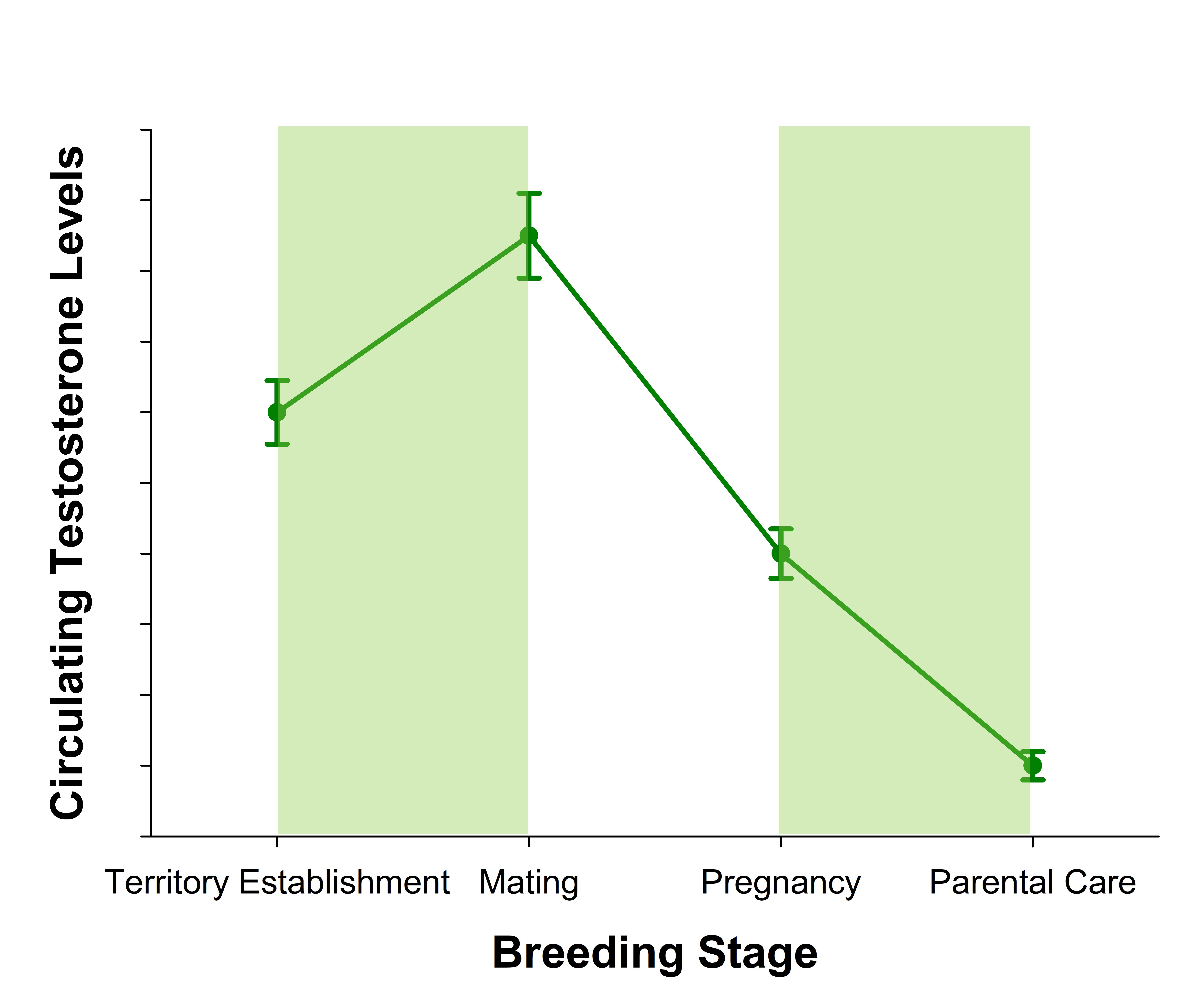 A line graph depicting how circulating testosterone levels are predicted to change in male birds during different changes of the breeding season. The x-axis is entitled “Breeding Stage” and has four different tick labels: territory establishment, mating, pregnancy, and parental care. The y-axis is entitled “Circulating Testosterone Levels.” The data points, error bars, and line in the graph are green in color, and there is a light green bar between the “territory establishment” and “mating” labels on the x-axis. This green bar represents a period of frequent male-male interactions or mate guarding. Circulating testosterone levels are relatively high during the territory establishment stage and reach a maximum value during the mating stage. During the pregnancy and parental care stages, circulating testosterone levels are lower than those observed during the territory establishment and mating stages. Testosterone levels reach a minimum value during the parental care stage.