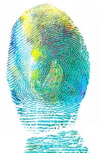 Fingerprint in blue and green pigment on a white background.