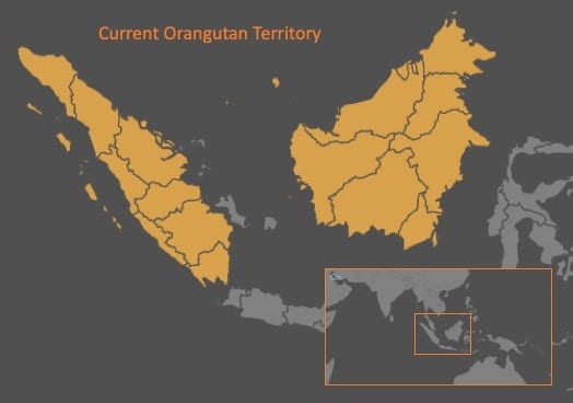 Map of the islands Borneo and Sumatra