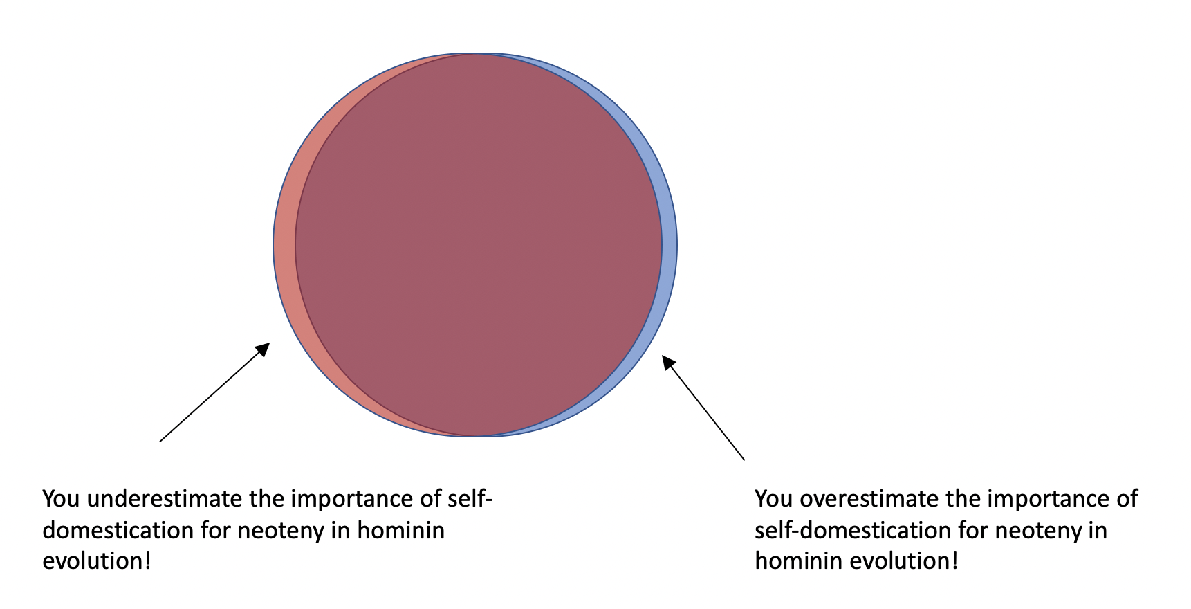 A red and blue circle almost entirely overlapping. An arrow points to the remaining sliver of pure red captioned, “You underestimate the importance of self-domestication for neoteny in hominin evolution!” Another arrow points to the sliver of pure blue captioned, “You overestimate the importance of self-domestication for neoteny in hominin evolution!” 