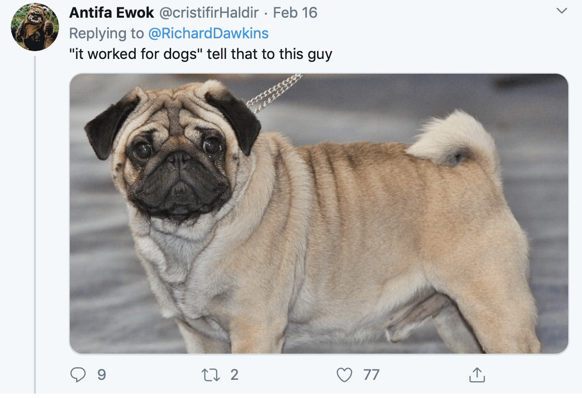 A tweet of a short flat-faced dog (a pug) making fun of the idea that selective breeding always "works".
