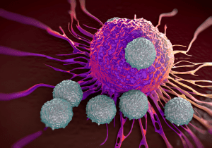 T- cells attacking a cancer cell (Illustration of an electron microscopy photo). Source: royaltystockphoto.com/Shutterstock