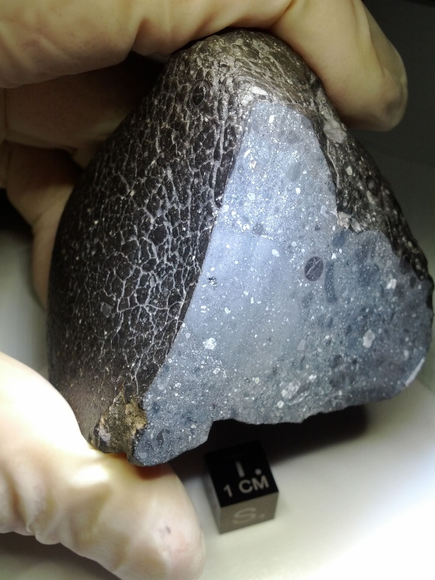 A black, slightly shiny rock is held next to a measuring block to show that the meteorite is only about 5 centimeters across.