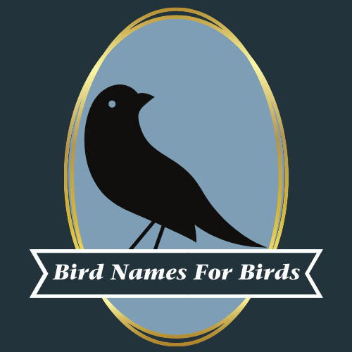 A drawing of a black bird is centered on the image. The bird is enclosed in a blue circle with a gold border. A black box with white text that reads “Bird Names for Birds” is located on top of the bird’s legs.
