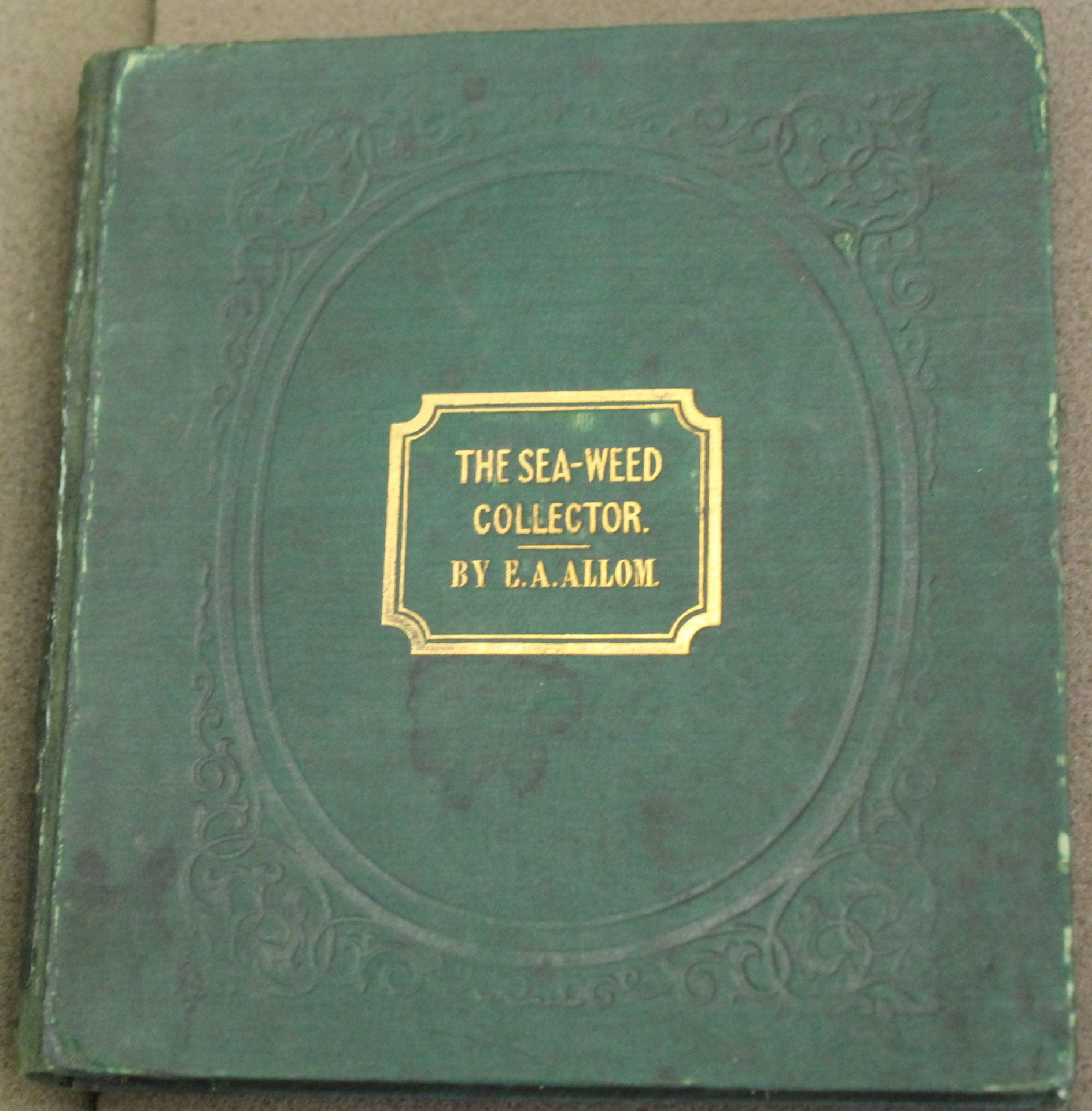 An image of a green book with a florally embossed cover, the title stamped in gold, and water stains.