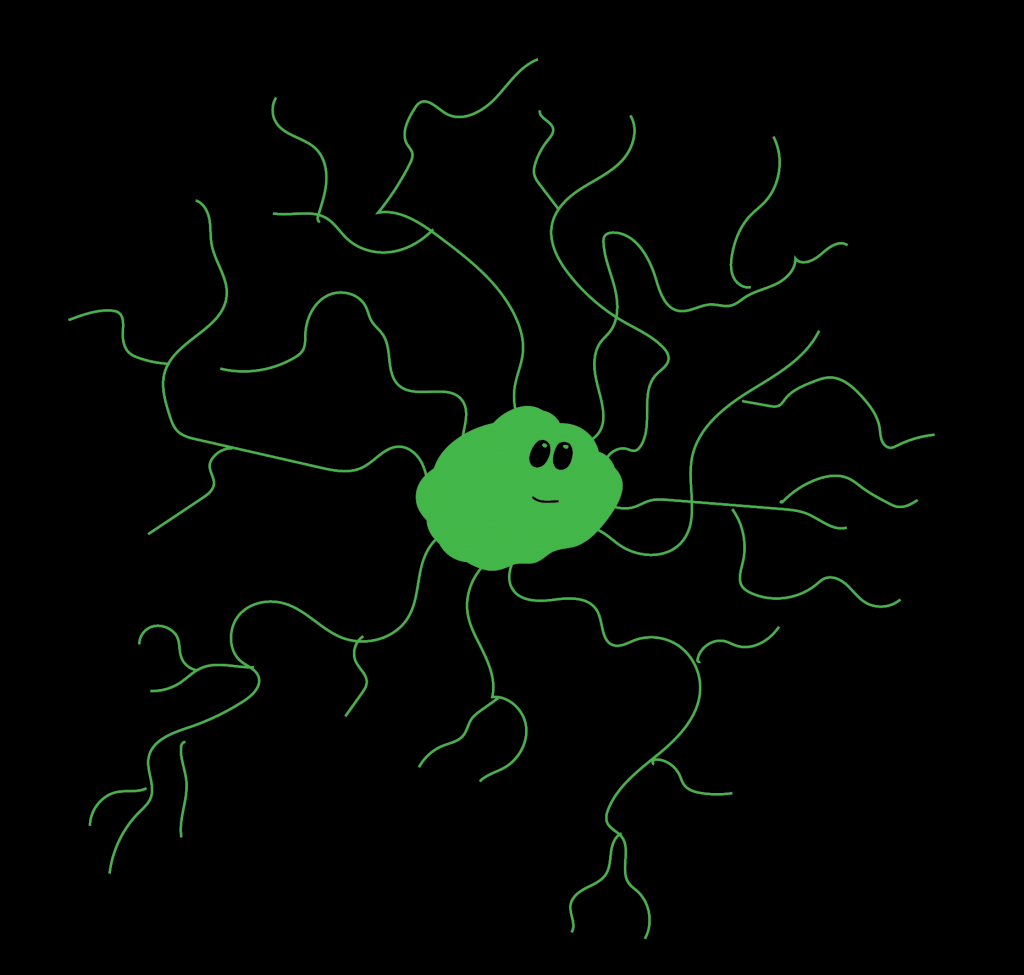 A cartoon drawing of a green cell with branch-like appendages protruding from all sides