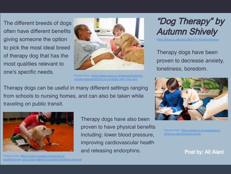 infographic about dog therapy. To read the original post go to https://blogs.iu.edu/sciu/2021/01/02/dog-therapy/