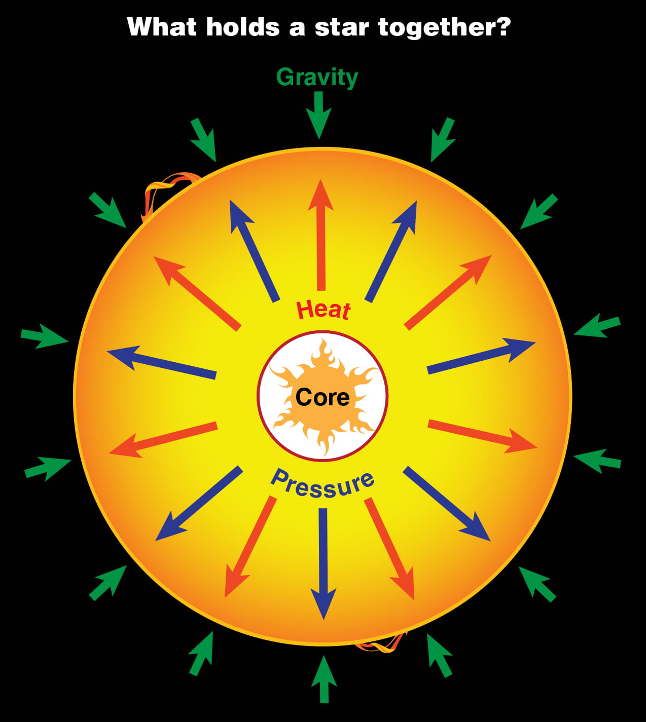 A diagram of the interior of a star is seen with arrows radiating out from the center labelled “pressure” and arrows pointing inward against the outside of the star labelled “gravity.”