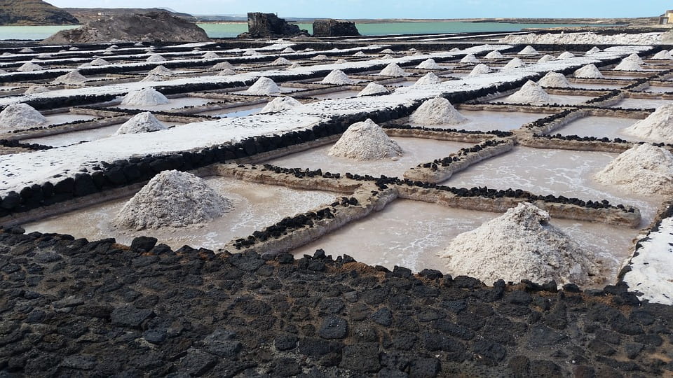 Alt text: Plots in a salt farm, where salt piles have formed out of squares with shallow lips filled with seawater. The ocean is visible in the background.