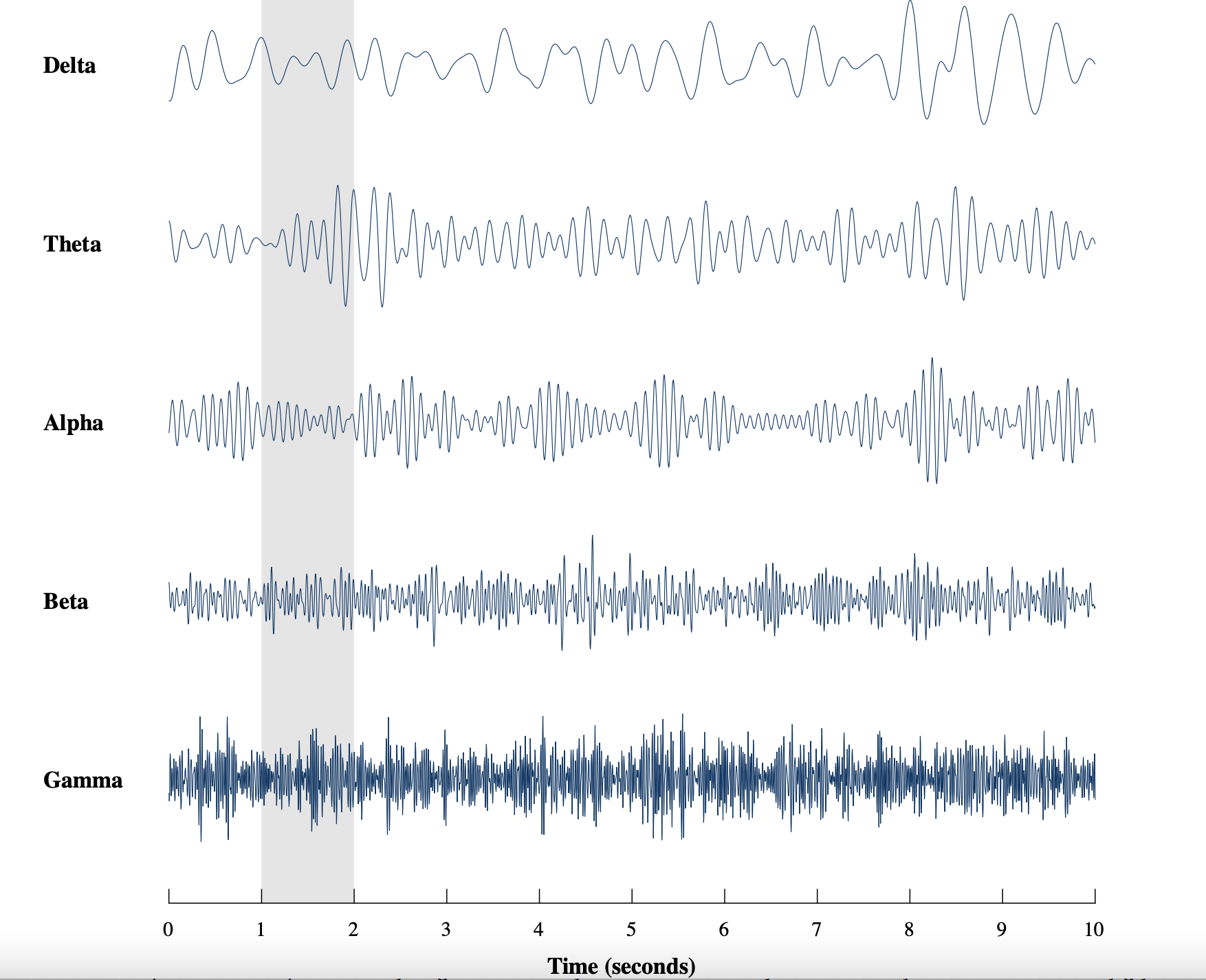 Image of gamma, beta, alpha, theta, and delta waves that can be recorded by EEG devices. 
