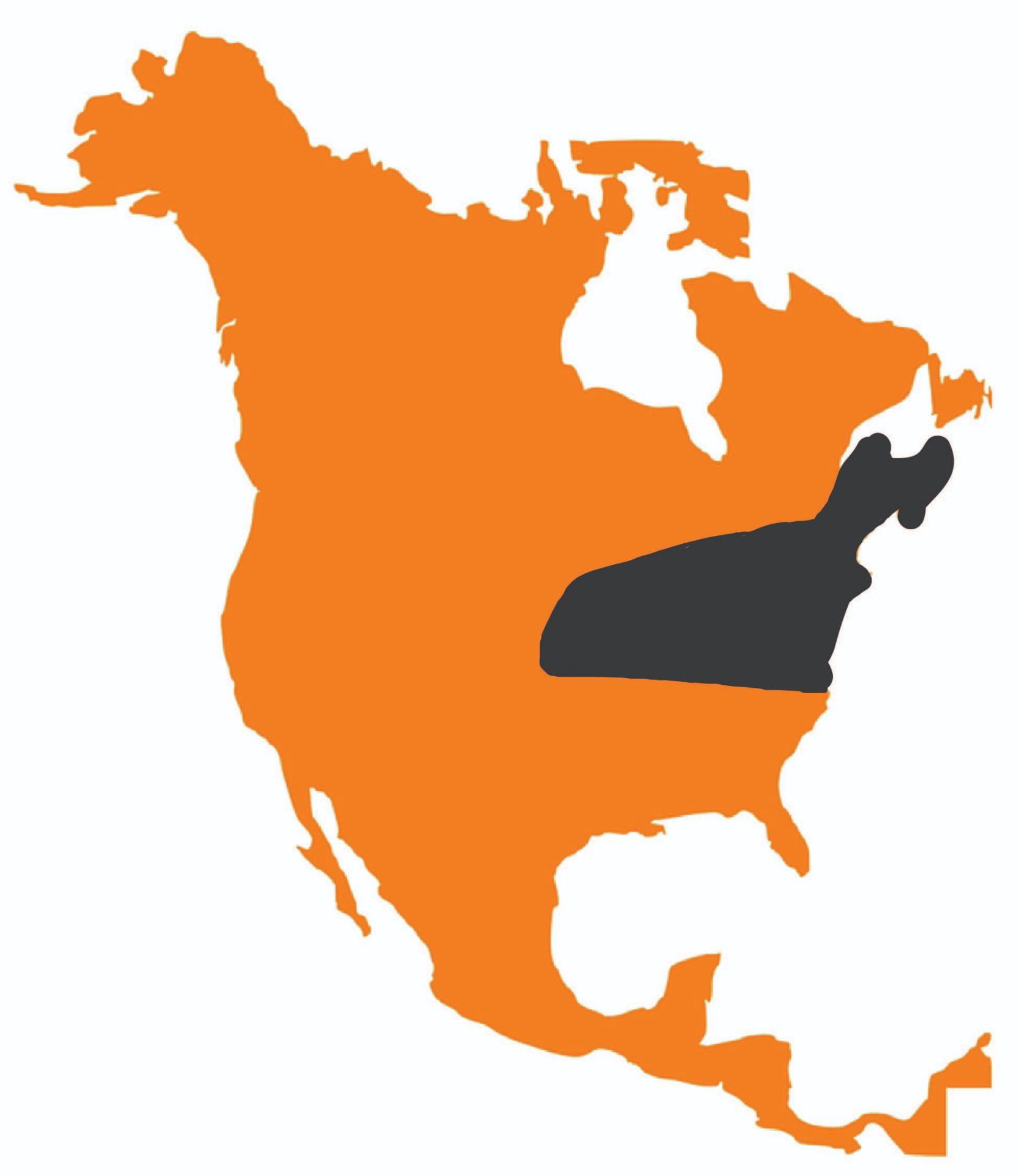 Orange outline of North America, with the coywolf range shaded in black. Indiana to Toronto and Nova Scotia, down to Virginia.