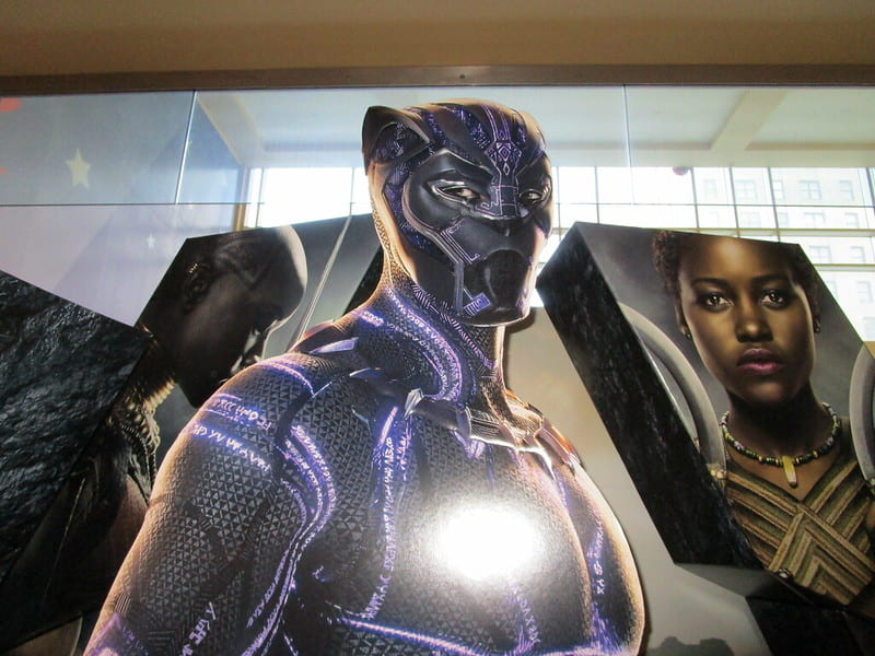 [T'Challa from the Black Panther Movie.]