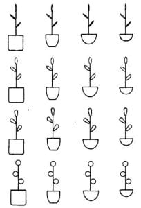 potted plants with different pot shapes along the rows and different leaf shapes along the columns