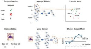 Illustrations of two experiment designs. The first one (upper) uses a language network to classify whether certain food items contain nutrient X. A list of numbers encoding the specific food item is extracted from the language network and denoted as a point in a multidimensional space according to the exemplar model. The second one (lower) uses a vision network to determine whether a radiological cell image indicates a cell is cancerous. The numeric output of the network is fed into the diffusion decision model as the amount of evidence for the cell being cancerous, which the model uses for simulating the decision making process. 