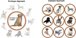 Side-by-side comparison of exemplar and prototype models using pet dog examples. The left panel shows a stereotypical dog in a circle at the center, surrounded by faded images of various dog examples. The right panel shows nine images of various dog examples placed in a 3-by-3 grid structure. 