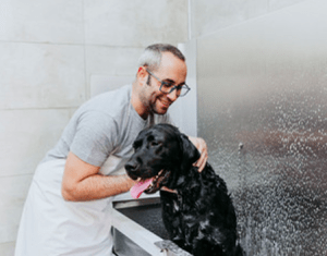 Man washing a big black dog in a tub.